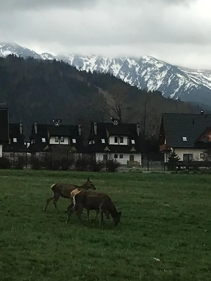 Camping Zakopane Willa Skoczek Oferta Nie Dotyczy Noclegu W Pokoju ,W Namiocie Reczniki Woda Mineralna , Koldra Poduszki Lub Spiwory 0*,