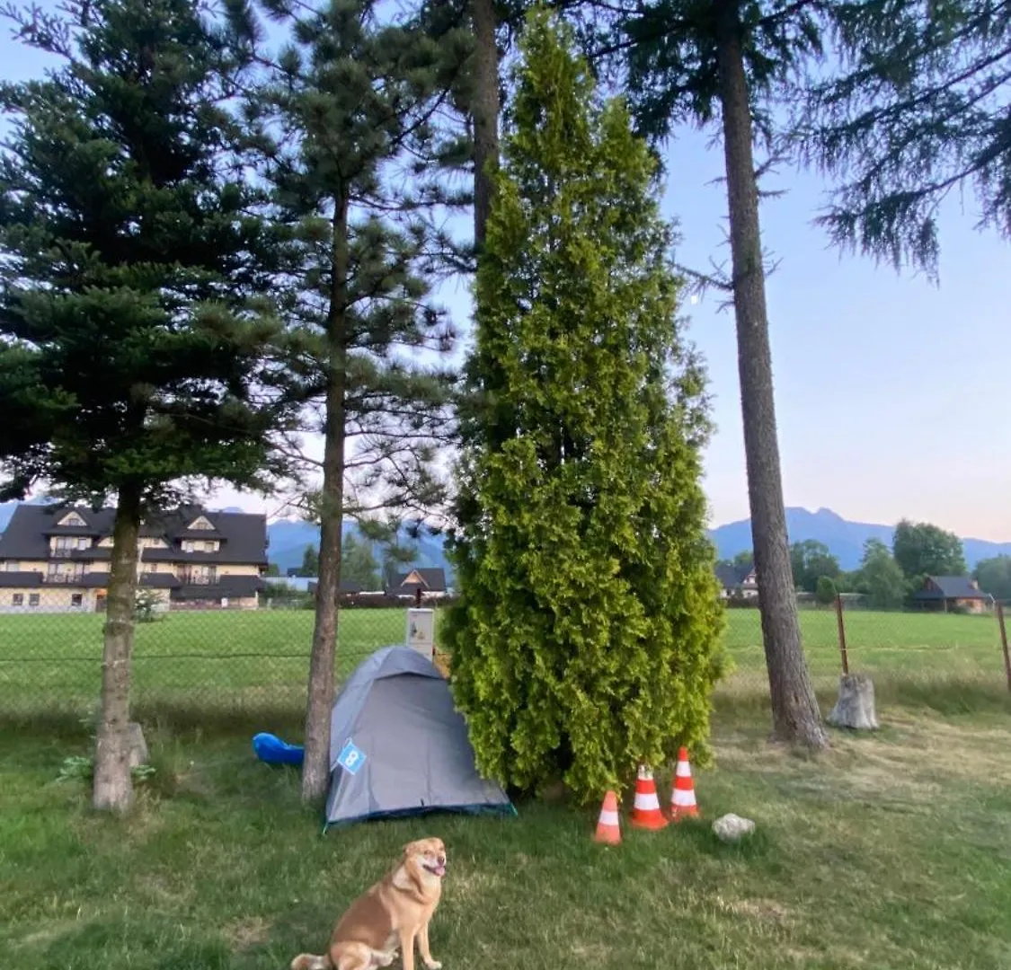 Camping Zakopane Willa Skoczek Oferta Nie Dotyczy Noclegu W Pokoju ,W Namiocie Reczniki Woda Mineralna , Koldra Poduszki Lub Spiwory