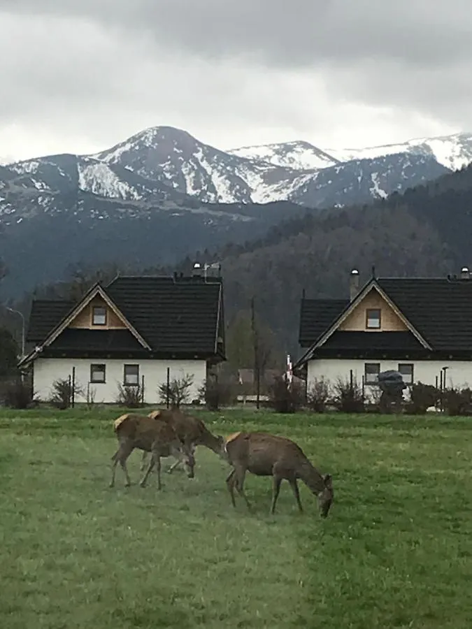 Camping Zakopane Willa Skoczek Poland